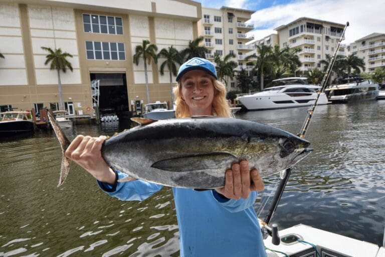 offshore fishing charter - blackfin tuna